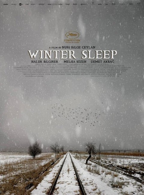 winter-sleep